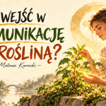 Jak wejść w komunikację z rośliną — Mateusz Kurnicki
